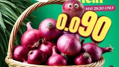 el3rod.com00001