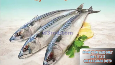 el3rod.com00001