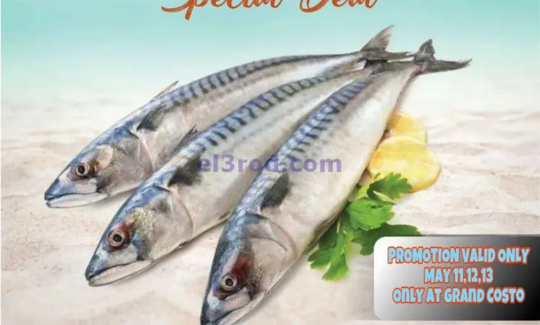 el3rod.com00001