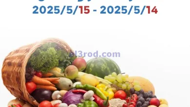 el3rod.com00001