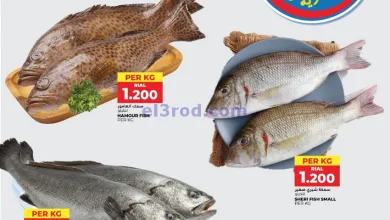 el3rod.com00001
