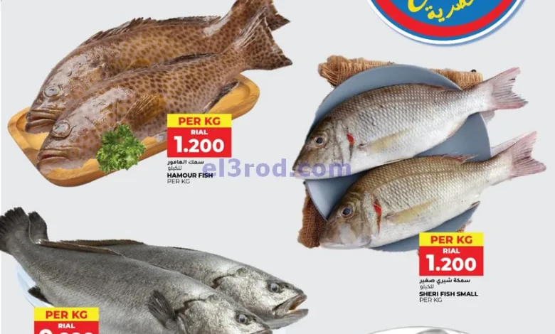 el3rod.com00001
