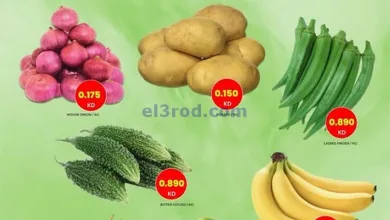 el3rod.com00001