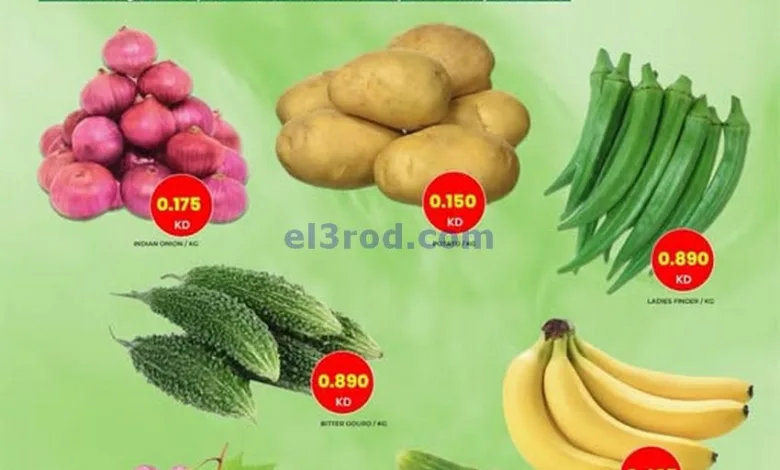 el3rod.com00001
