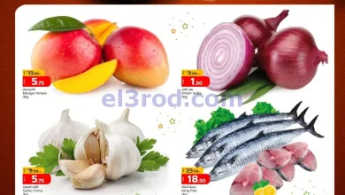 el3rod.com00001
