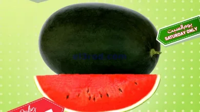 el3rod.com00002