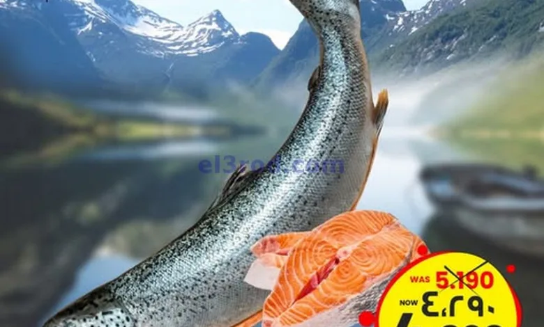 عروض نستو الكويت|18 حتى 19-5-2025 el3rod.com00002