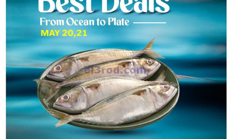 el3rod.com00002