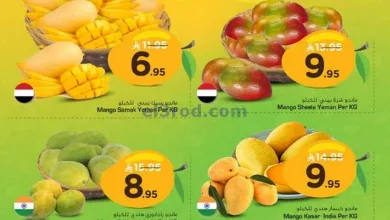 عروض نستو السعودية|مهرجان مانجو|28 حتى 31-5-2025 el3rod.com00003