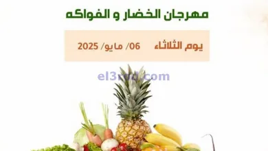 el3rod.com00004