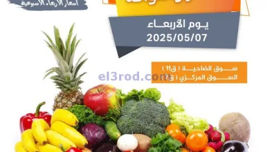 el3rod.com00004