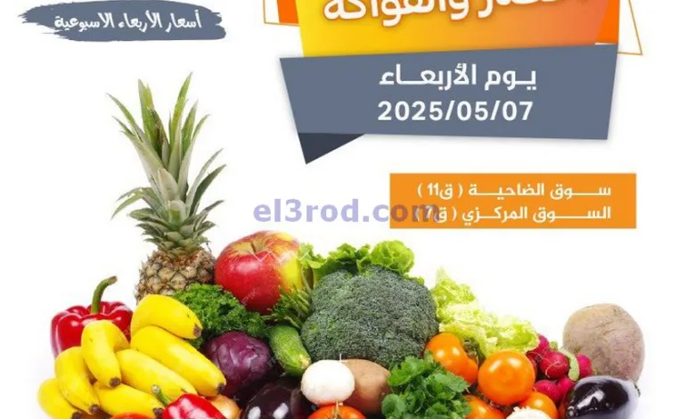 el3rod.com00004