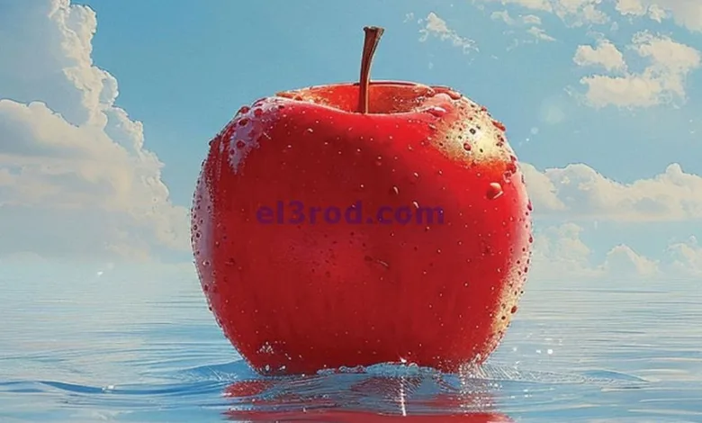 el3rod.com00004