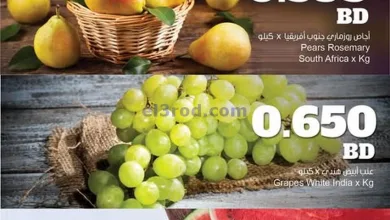 el3rod.com00004