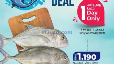 el3rod.com00005