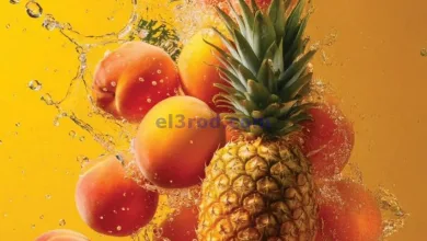 el3rod.com00006