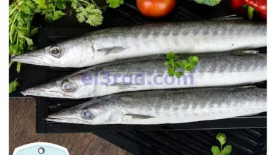 عروض سفاري الامارات|الجمعة|23-5-2025 el3rod.com00007