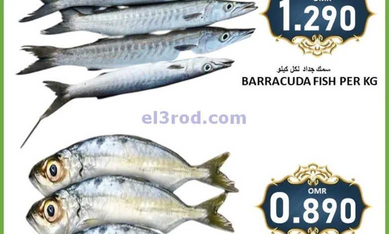 el3rod.com00001