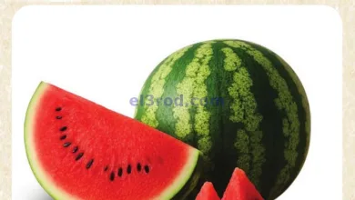 el3rod.com00001