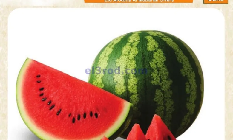 el3rod.com00001