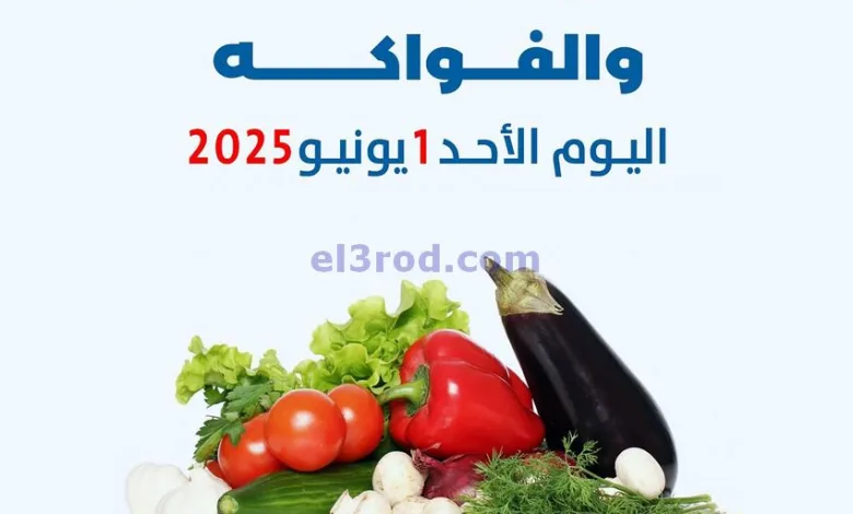 el3rod.com00001