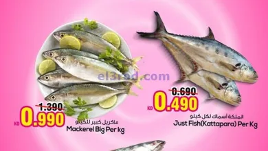 el3rod.com00001