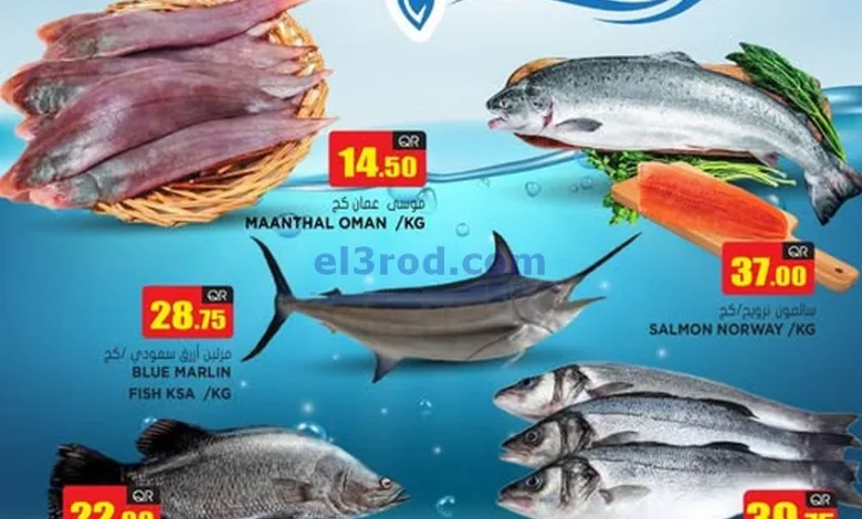 el3rod.com00001