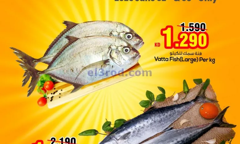 el3rod.com00001