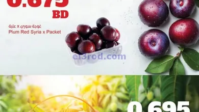 el3rod.com00003