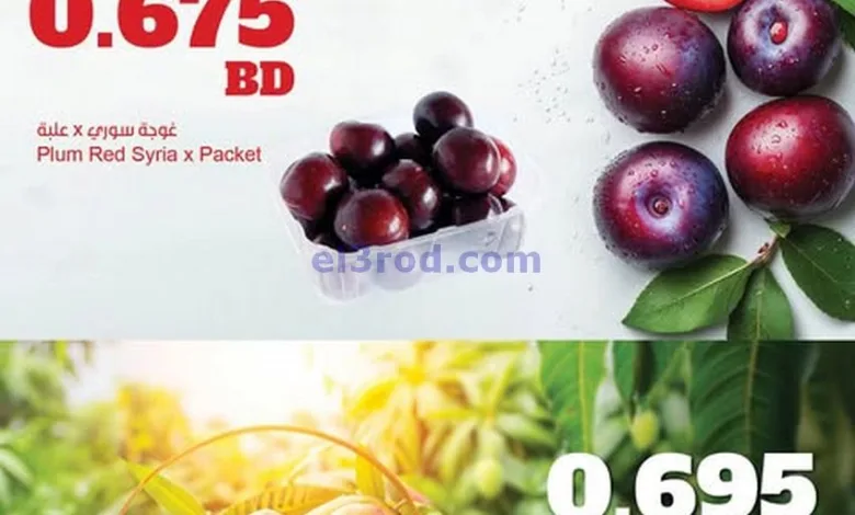 el3rod.com00003