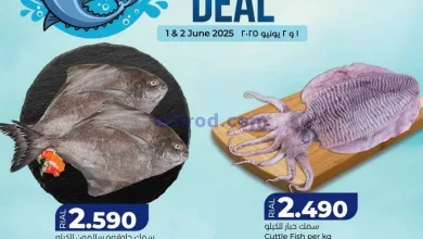 el3rod.com00003