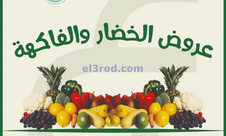 el3rod.com00004