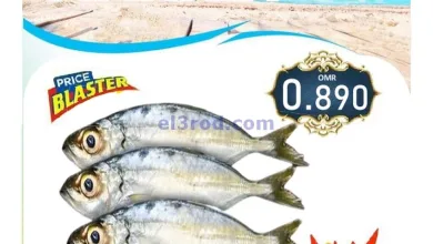 el3rod.com00005