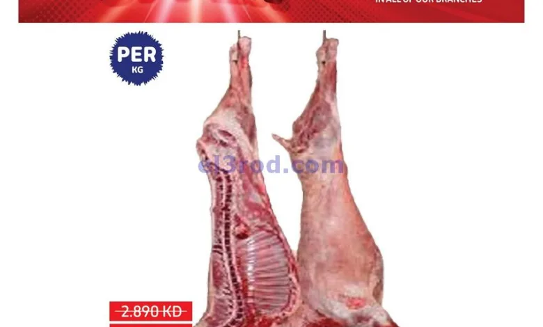 el3rod.com00001