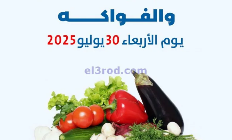 el3rod.com00001