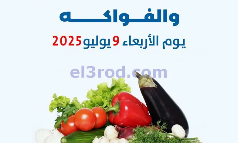 el3rod.com00003