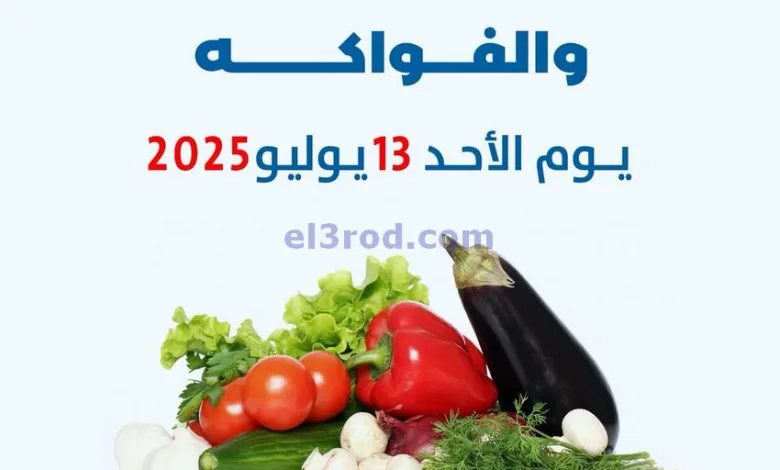 el3rod.com00003