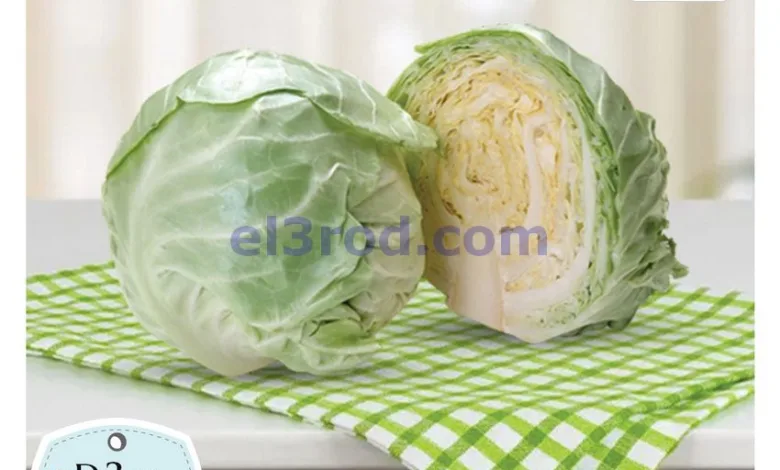 el3rod.com00004