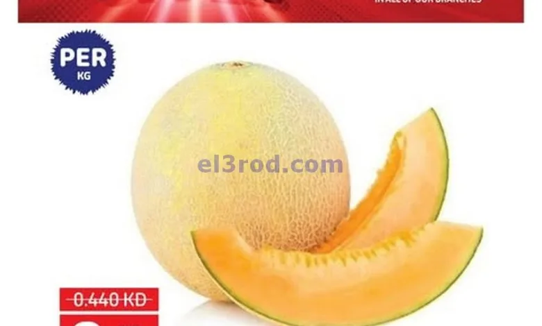 el3rod.com00004