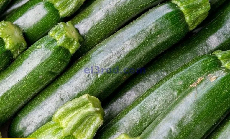 el3rod.com00005
