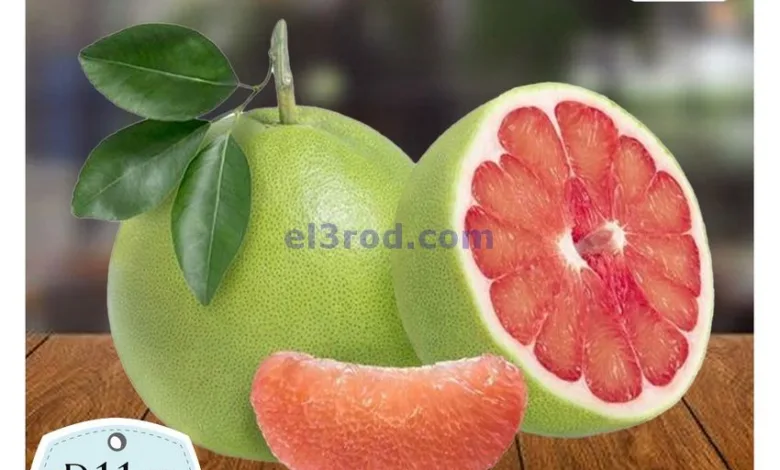 el3rod.com00005