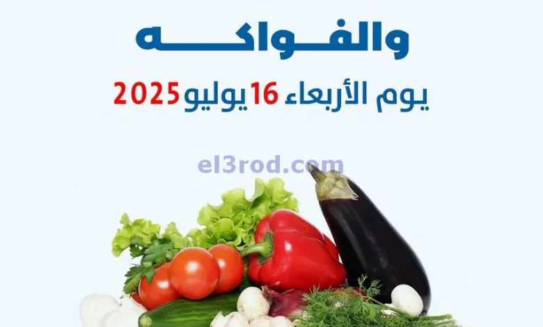 el3rod.com00005