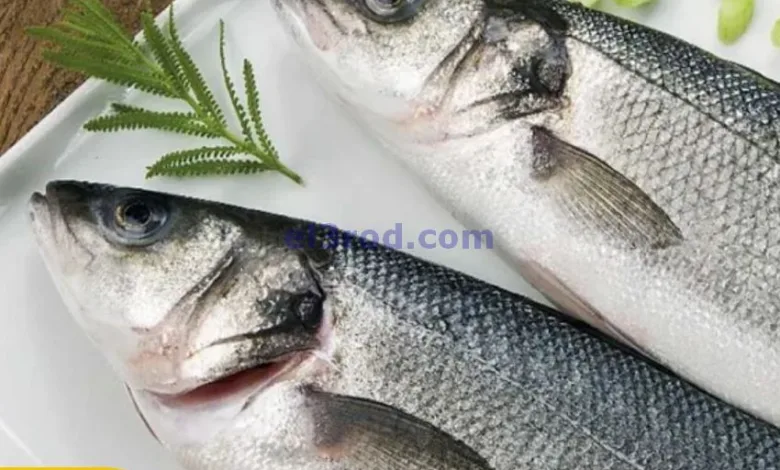 عروض سيتى ماركت الكويت|الطازجة|21 حتى 22-7-2025 el3rod.com00005