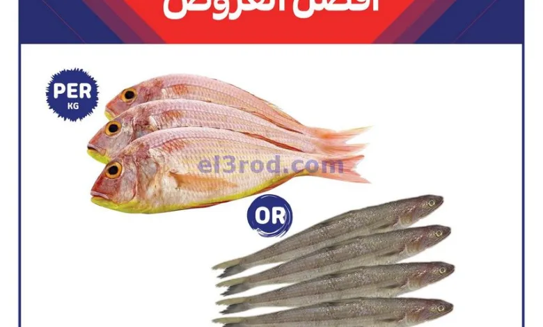 el3rod.com00001