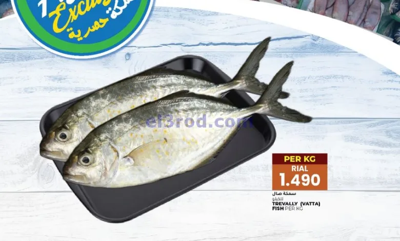 el3rod.com00001