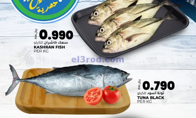 el3rod.com00001