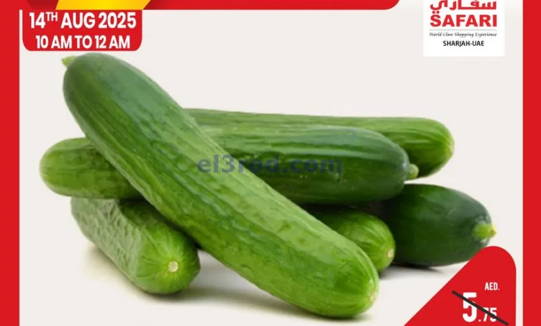 el3rod.com00001