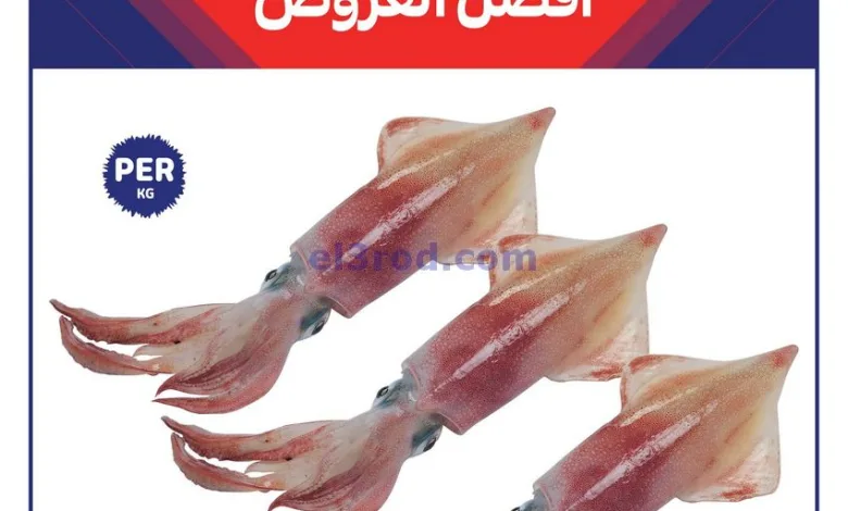 el3rod.com00004