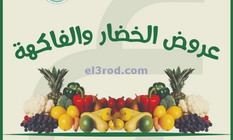 el3rod.com00004