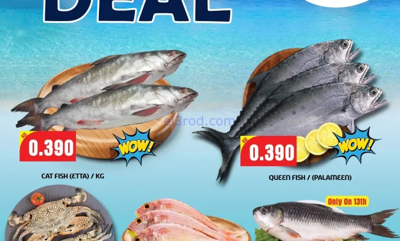 el3rod.com00001